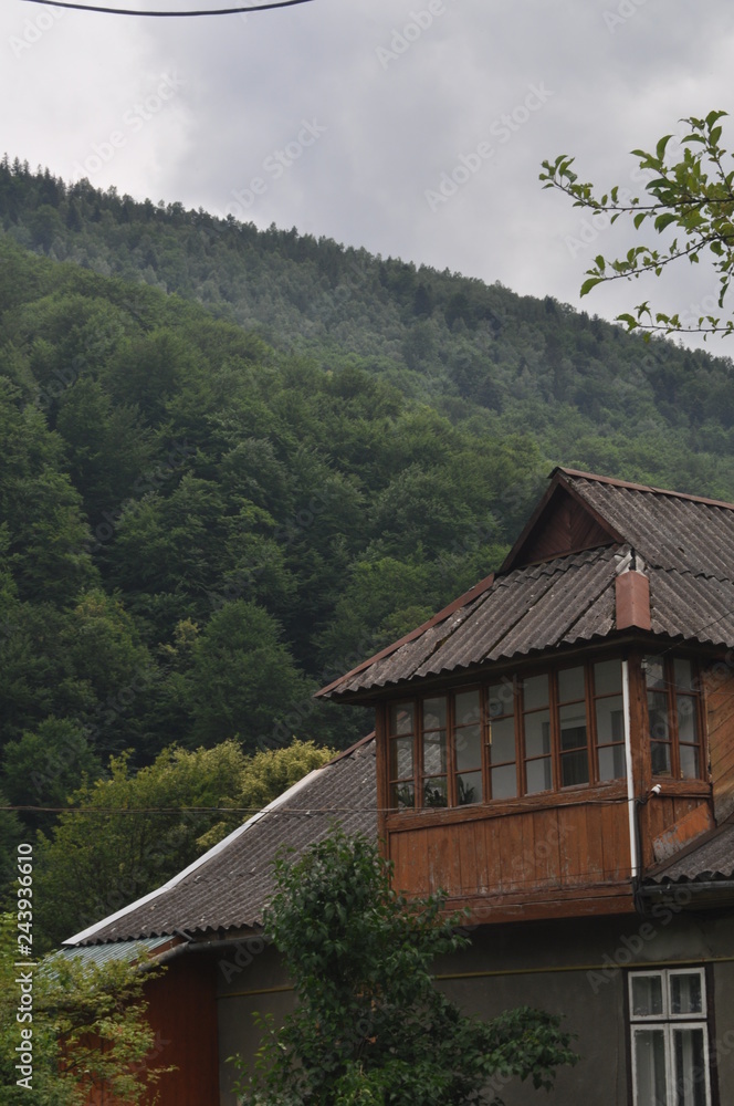 house in the forest