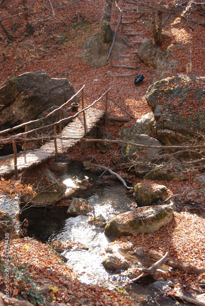 Fototapeta premium Autumn in the Crimea. Travels. Golden autumn. sunny day