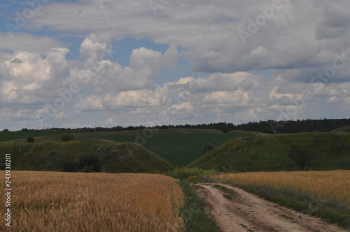 road in the field