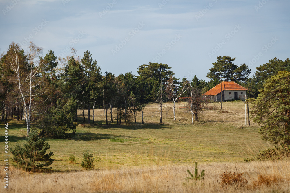 Small, old house surrounded by trees and next to the meadow. Mountain nature scenery. Nature background.
