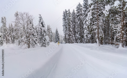 Panoramic view of winter landscape with snow covered trees near Seefeld in the Austrian state of Tyrol. Winter in Austria