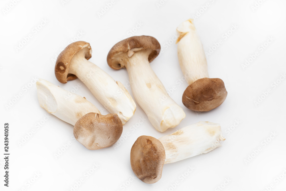 King Oyster Mushroom on white background. King Oyster Mushroom on white background.