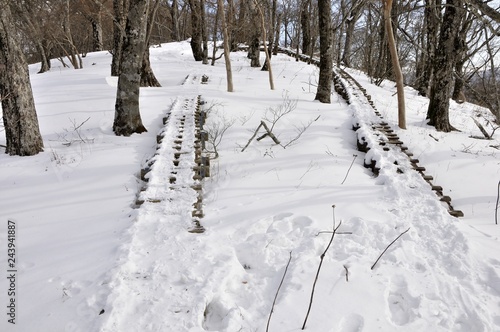 雪に埋もれるつつじ新道の木道