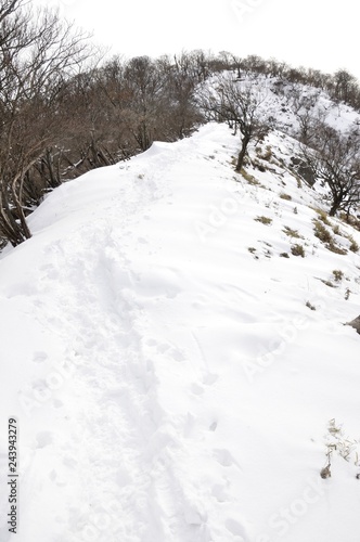 檜洞丸へ登る厳冬の道