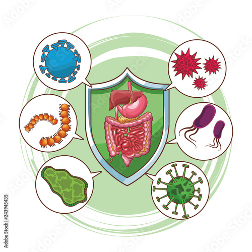 digestive system well working