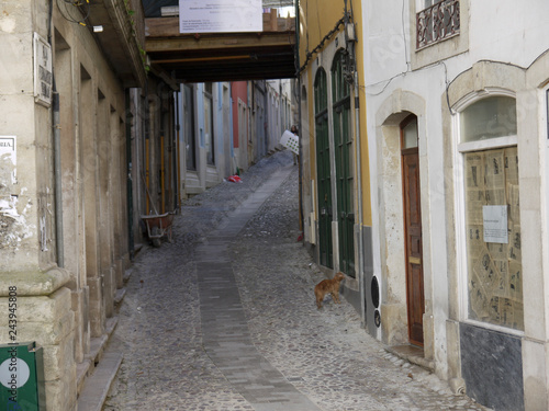 Fototapeta Naklejka Na Ścianę i Meble -  Coimbra - Portugal