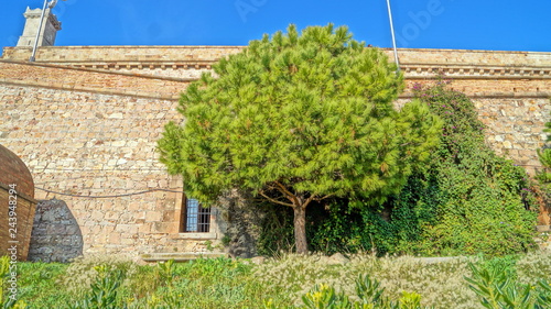 Beautiful walk and good rest at the walls of the Montjuic fortress in Barcelona, ​​Spain