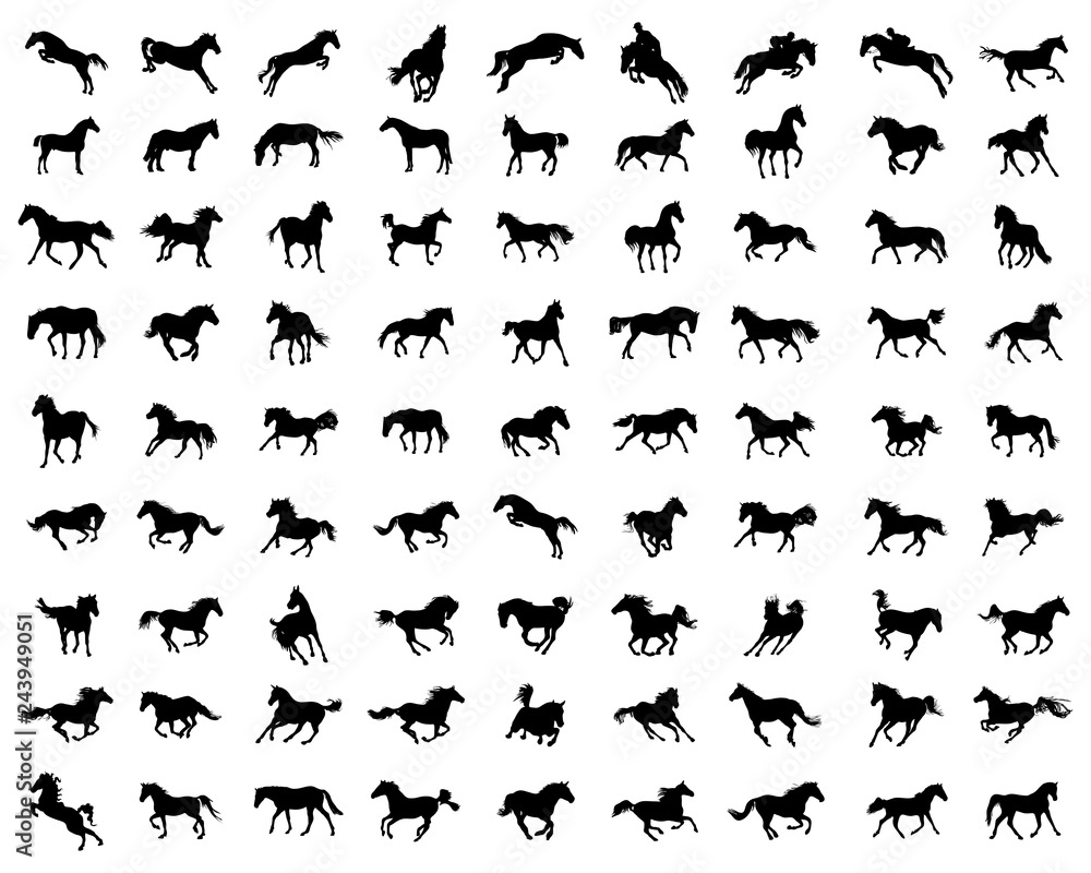 Big set of horses silhouettes on a white background Big set of horses silhouettes on a white background