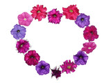 Pink and violet petunia flowers and rosy periwinkles in a heart shape isolated on white as a backdrop for greetings