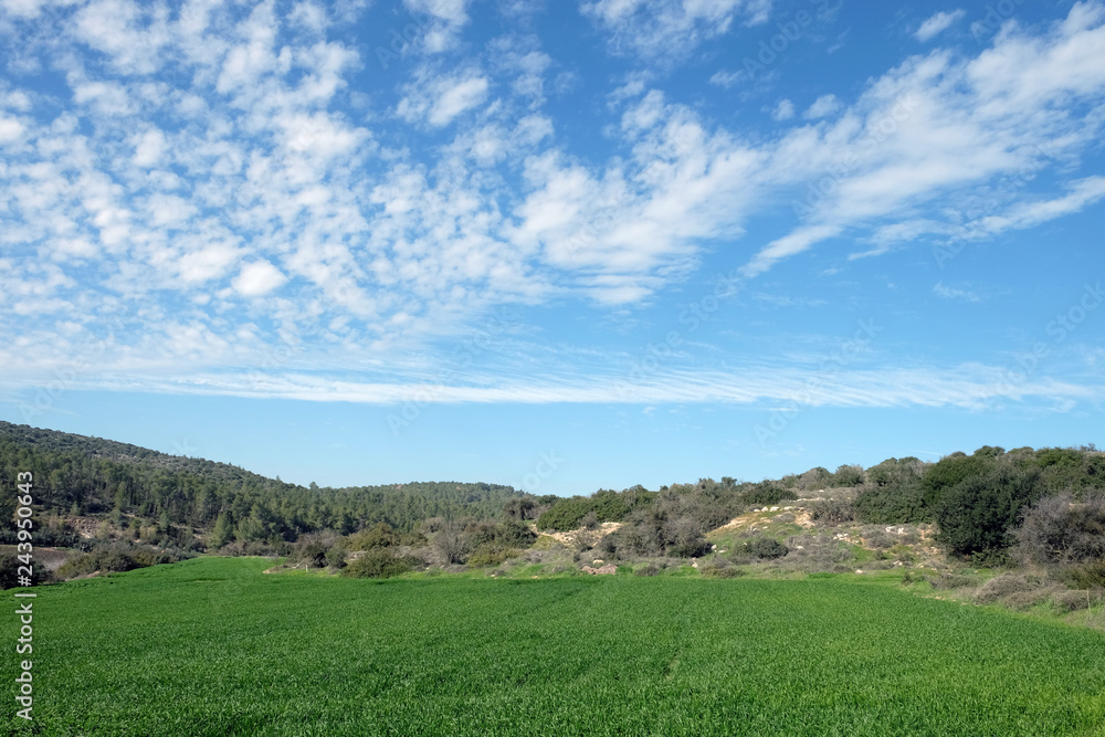 Fields, hills and beautiful sky in Judea, Israel