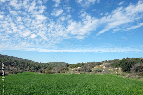 Fields  hills and beautiful sky in Judea  Israel