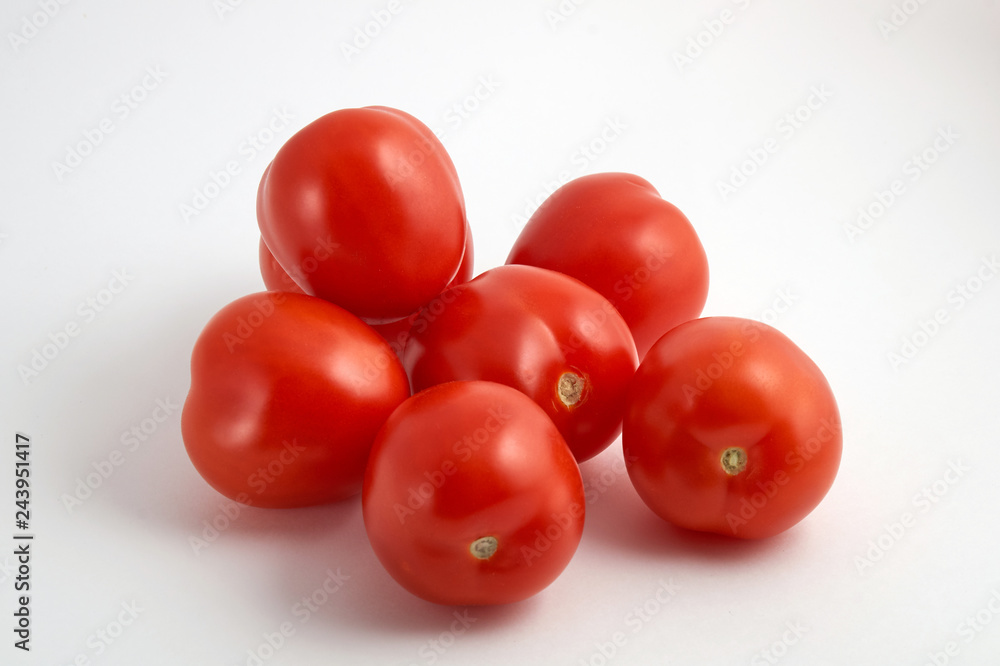 tomatos on white background tomatos on white background