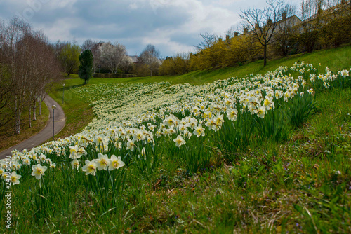 Deutschland Badenwürtemberg Darmsheim