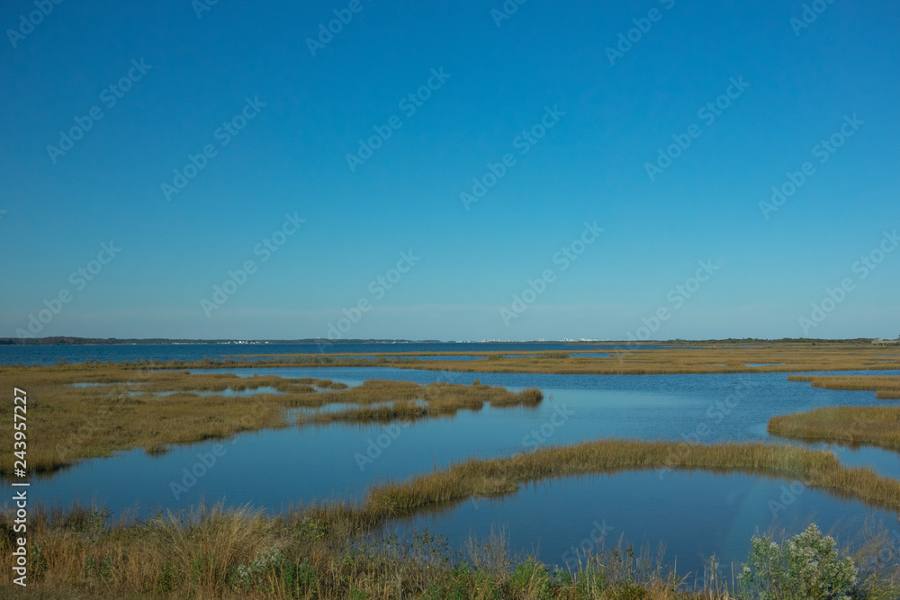Assateague island ponds on blue sky background.