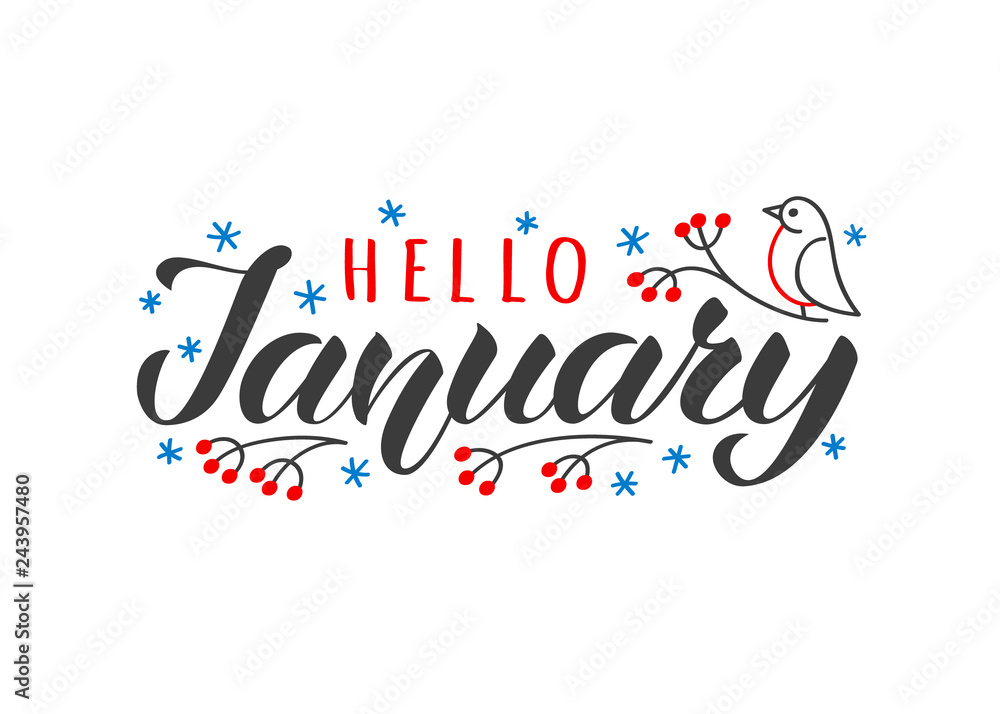 Hello january hand drawn lettering card with doodle snowlakes and bird. Inspirational winter quote. Motivational print for invitation or greeting cards, brochures, poster, t-shirts, mugs.