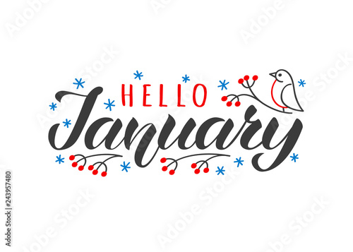 Hello january hand drawn lettering card with doodle snowlakes and bird. Inspirational winter quote. Motivational print for invitation or greeting cards, brochures, poster, t-shirts, mugs.