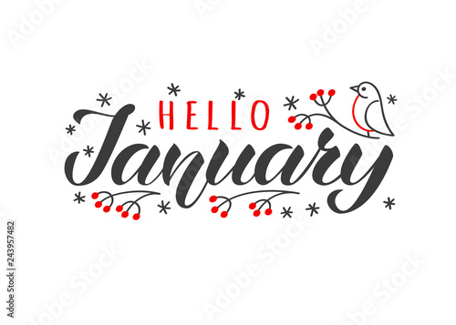 Hello january hand drawn lettering card with doodle snowlakes and bird. Inspirational winter quote. Motivational print for invitation or greeting cards, brochures, poster, t-shirts, mugs.