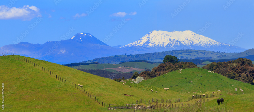 Picturesque landscape with green hills and volcanoes, New Zealand