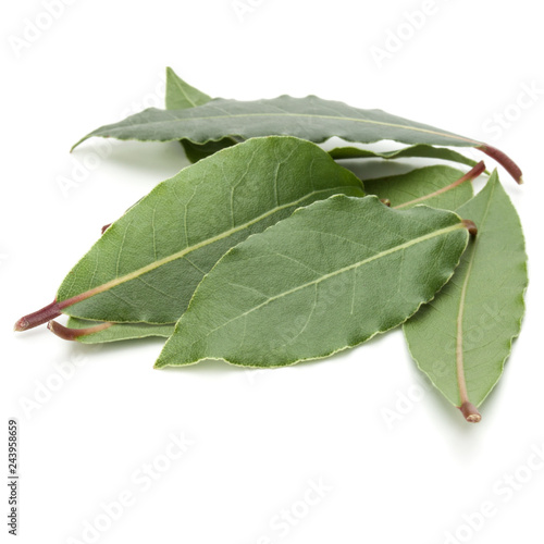 Aromatic bay leaves