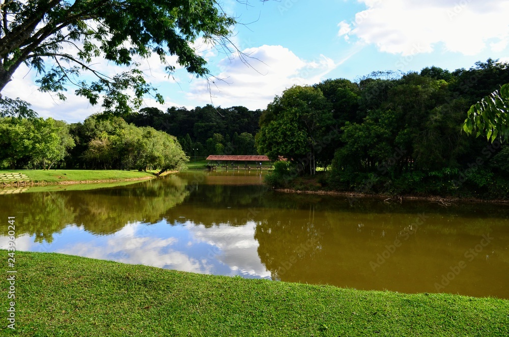 Natureza, Park Tingui em Curitiba - Brasil