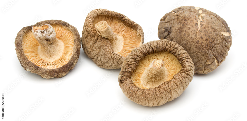 Dried Shiitake Mushroom isolated on white background Dried Shiitake Mushroom isolated on white background