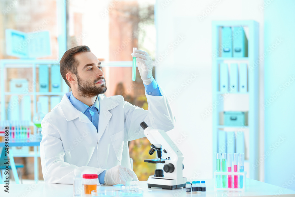 Young scientist working in laboratory, space for text. Chemical analysis Young scientist working in laboratory, space for text. Chemical analysis