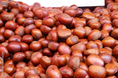 chestnuts seed at street food