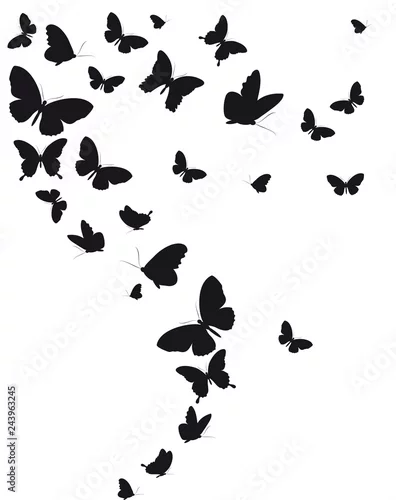 Naklejka na ścianę czarny motyl, na białym tle