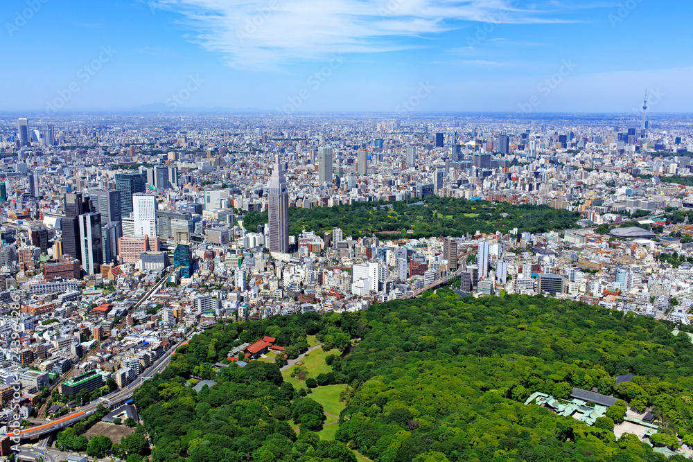 都市風景／代々木公園から新宿を望む、Aerial view