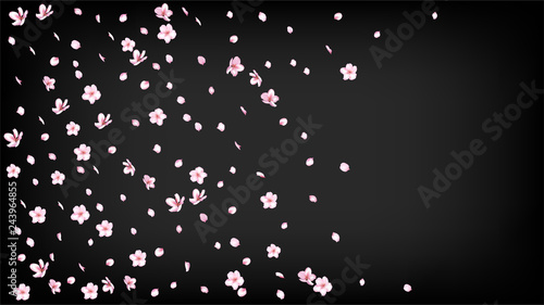 Nice Sakura Blossom Isolated Vector. Summer Blowing 3d Petals Wedding Texture. Japanese Funky Flowers Wallpaper. Valentine, Mother's Day Realistic Nice Sakura Blossom Isolated on Black