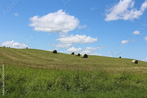 View of hay bales in a field on a hill