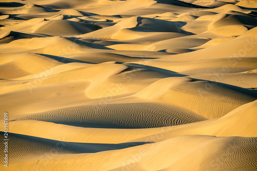 sand dunes in desert © James