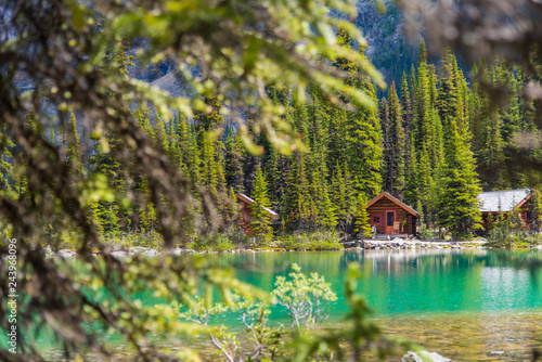 Cottages at Lake Ohara hiking trail in sunny day in Spring, Yoho, Canada
