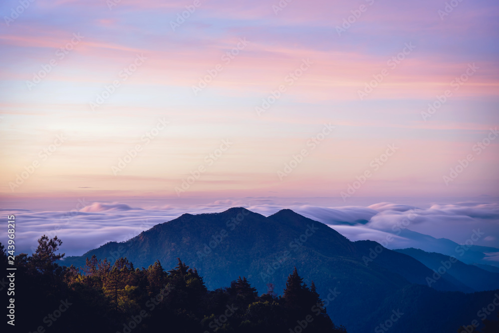 The background of nature with fog on the mountain. In the rainy weather in the countryside. winter. The background of nature with fog on the mountain. In the rainy weather in the countryside. winter.