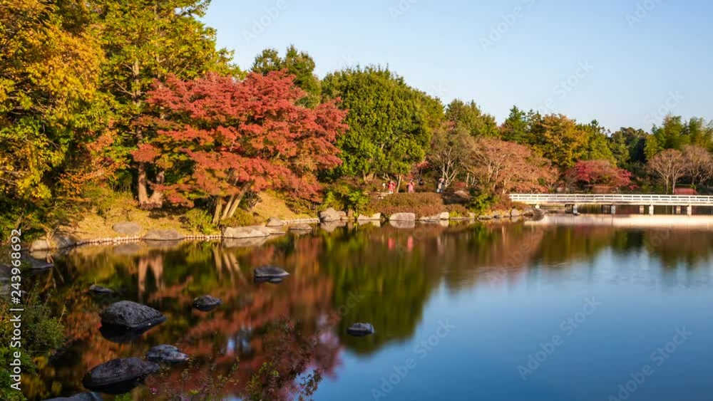 Timelapse of Reflective Pond and Fall Foliage in Japan -Zoom Out- Timelapse of Reflective Pond and Fall Foliage in Japan -Zoom Out-