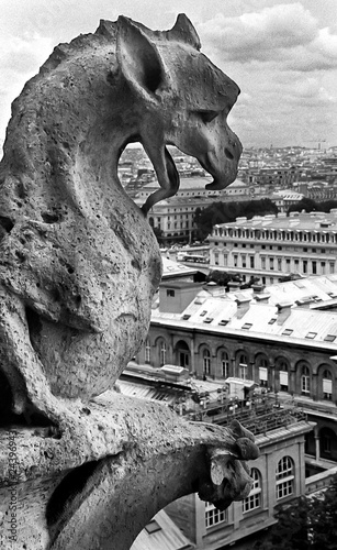 Obraz na płótnie Gargoyles Overlooking Paris