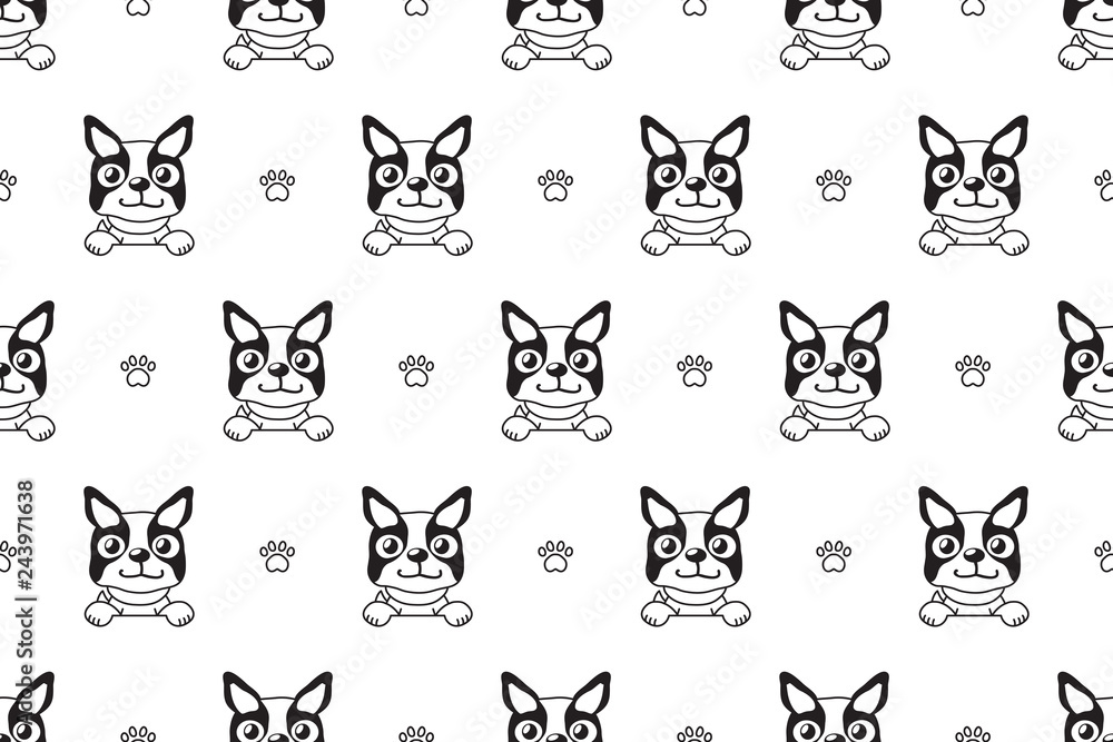 Fototapeta premium Vector cartoon character boston terrier dog seamless pattern for design.