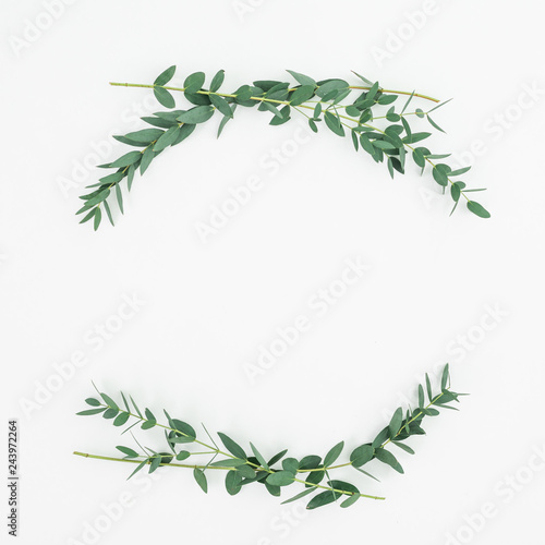 Fototapeta Naklejka Na Ścianę i Meble -  Floral frame with eucalyptus branches on white background. Flat lay, top view