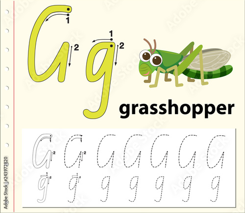 Letter G tracing alphabet worksheets