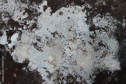 Background surface cement on the floors have lichen nature from rain water. © nukies1234