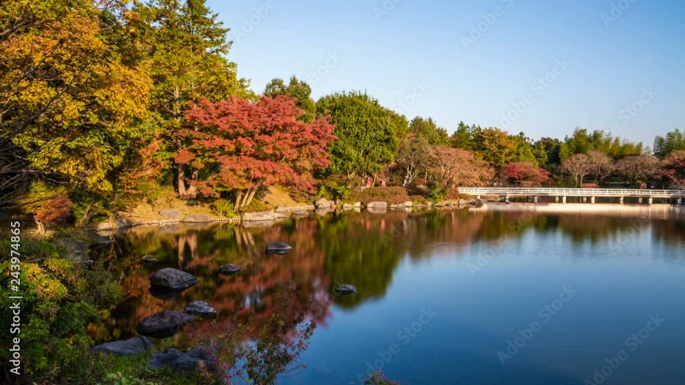 Timelapse of Reflective Pond and Fall Foliage in Japan Timelapse of Reflective Pond and Fall Foliage in Japan