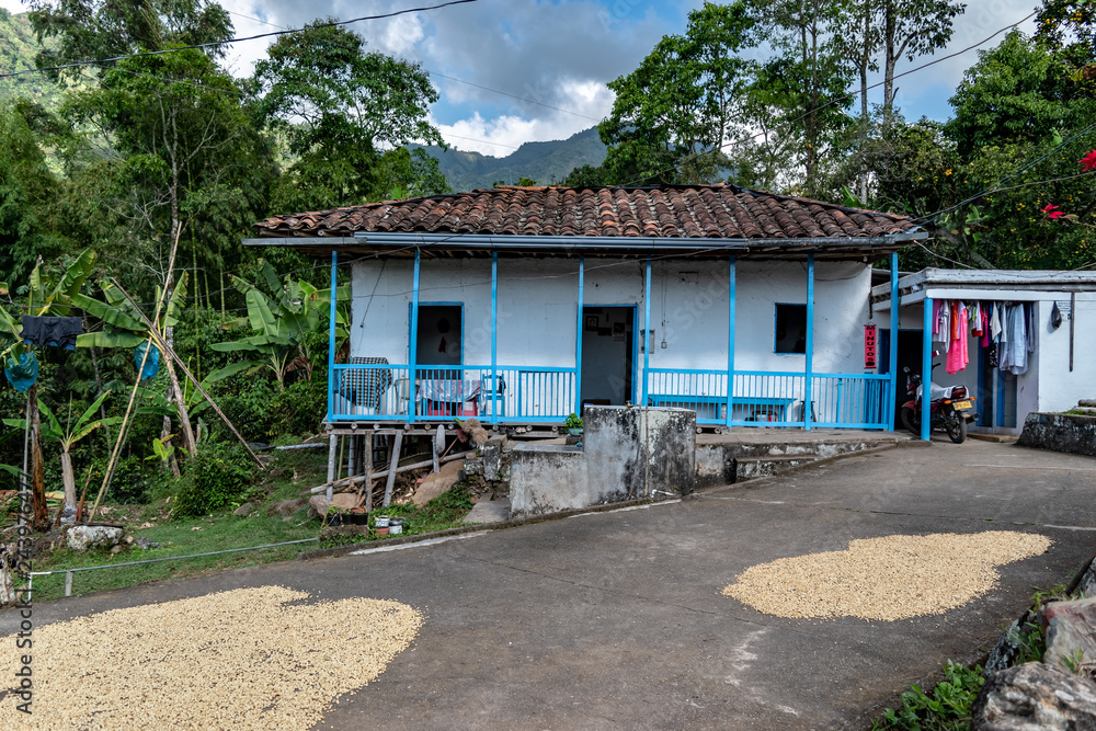 Paisaje cultural cafetero 