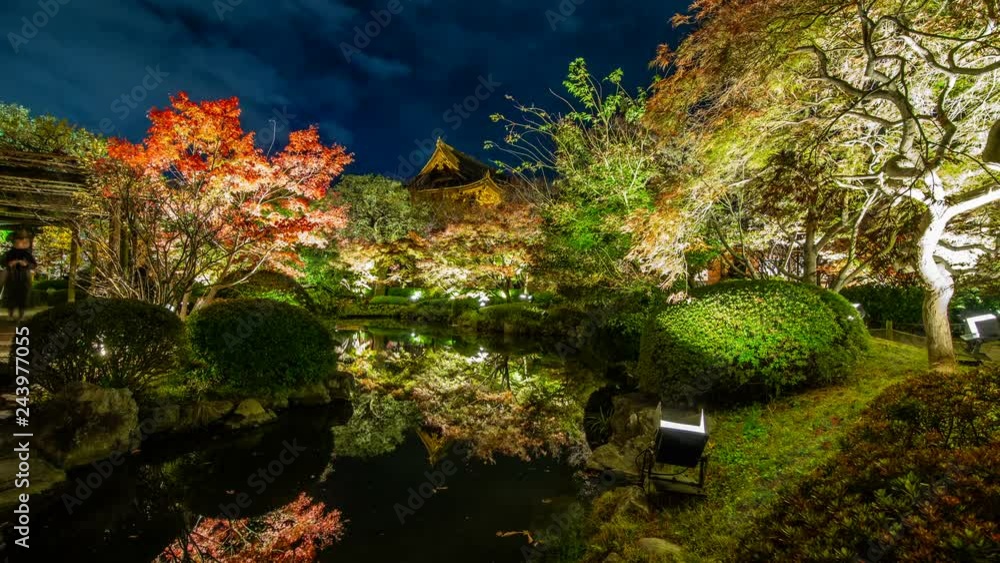 Timelapse of Japanese Garden Fall Illumination in Kyoto -Zoom In- Timelapse of Japanese Garden Fall Illumination in Kyoto -Zoom In-