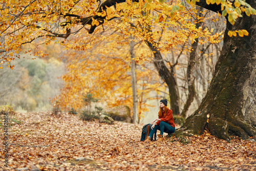 autumn nature yellow leaves woman