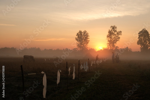 twilight sun rise. silhouette at countryside.