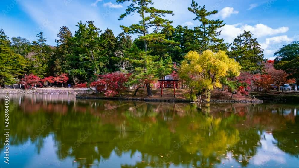 Pan/Tilt Timelapse of Reflective Pond in Fall at Nara Park Pan/Tilt Timelapse of Reflective Pond in Fall at Nara Park