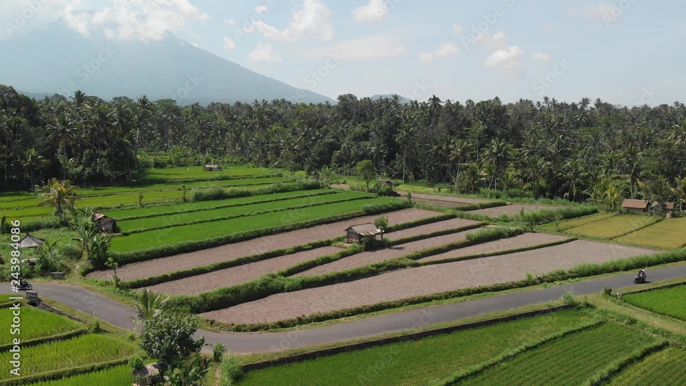 4K aerial flying video of young couple riding scooter on the rice field close to a greeat mountain volcano Agung. Bali island.