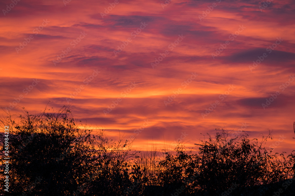 Fototapeta premium sunset, red sky