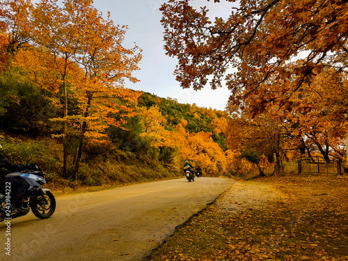 motorbikes on the road in autumn colors oak trees in Tzoumerka Arta Greece