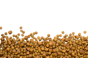 Dried dog food background 